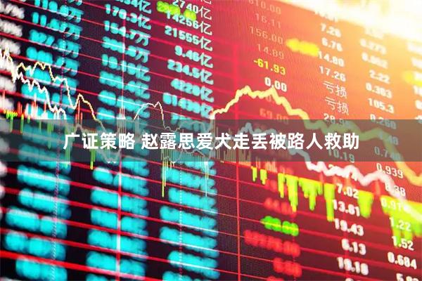广证策略 赵露思爱犬走丢被路人救助