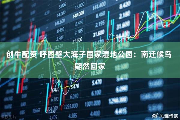 创牛配资 呼图壁大海子国家湿地公园：南迁候鸟 翩然回家