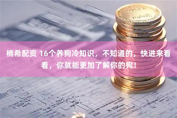 楠希配资 16个养狗冷知识，不知道的，快进来看看，你就能更加了解你的狗！