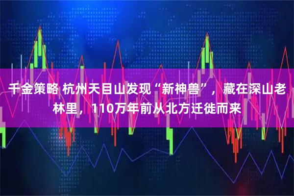 千金策略 杭州天目山发现“新神兽”，藏在深山老林里，110万年前从北方迁徙而来
