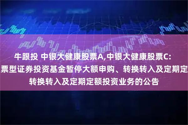 牛跟投 中银大健康股票A,中银大健康股票C: 关于中银大健康股票型证券投资基金暂停大额申购、转换转入及定期定额投资业务的公告