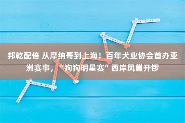 邦乾配倍 从摩纳哥到上海！百年犬业协会首办亚洲赛事，“狗狗明星赛”西岸凤巢开锣