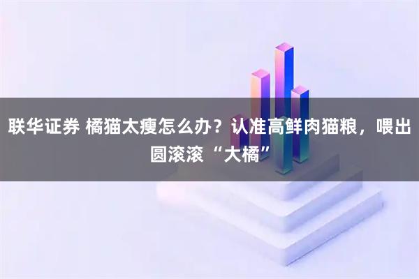 联华证券 橘猫太瘦怎么办？认准高鲜肉猫粮，喂出圆滚滚 “大橘”