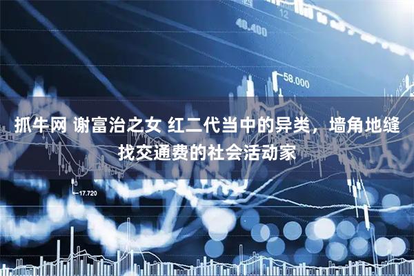 抓牛网 谢富治之女 红二代当中的异类，墙角地缝找交通费的社会活动家