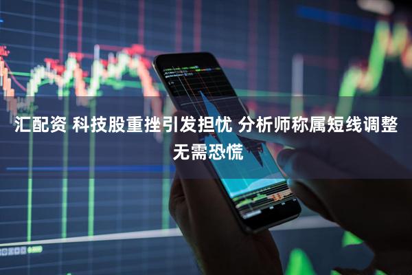 汇配资 科技股重挫引发担忧 分析师称属短线调整 无需恐慌