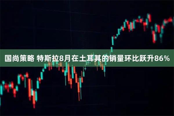 国尚策略 特斯拉8月在土耳其的销量环比跃升86%