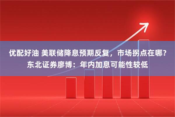优配好油 美联储降息预期反复，市场拐点在哪？东北证券廖博：年内加息可能性较低